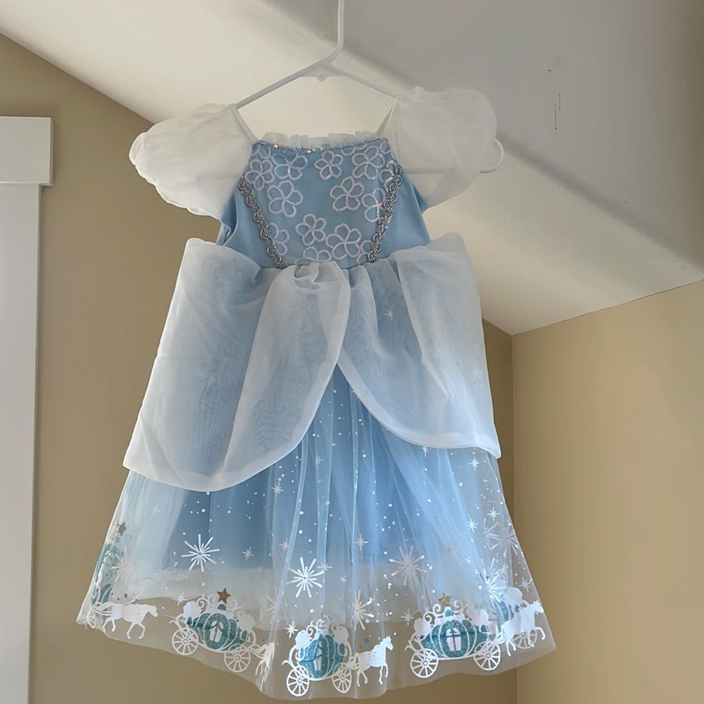Little girls Cinderella dress